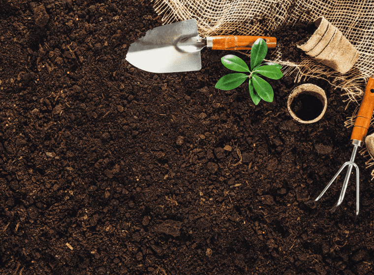 top soil with some tools to plant